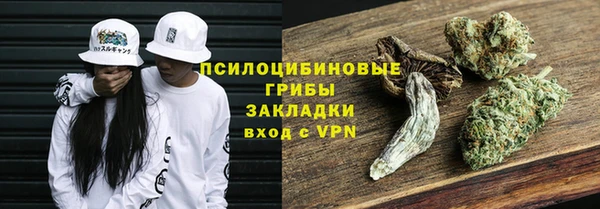 a pvp Алзамай