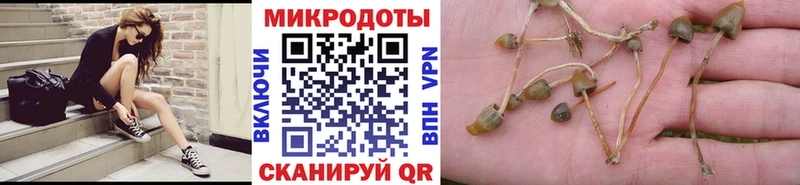 Псилоцибиновые грибы Magic Shrooms  закладки  Новомосковск 