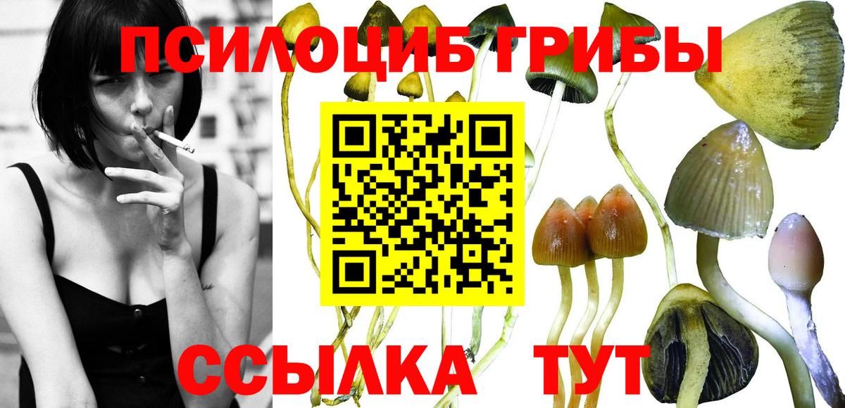 Псилоцибиновые грибы прущие грибы  Вход с VPN  Новомосковск 